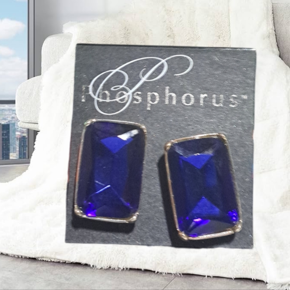 🙋 10/$20. Rectangular Clip-on Blue Earrimngs. NWT